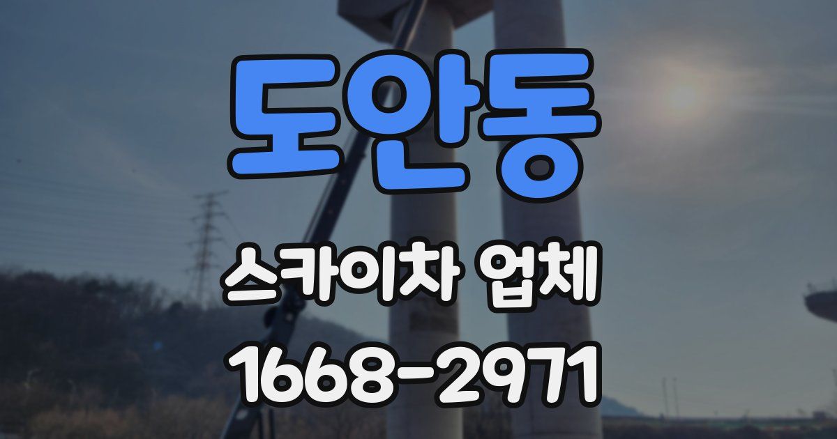 도안동 스카이차 업체