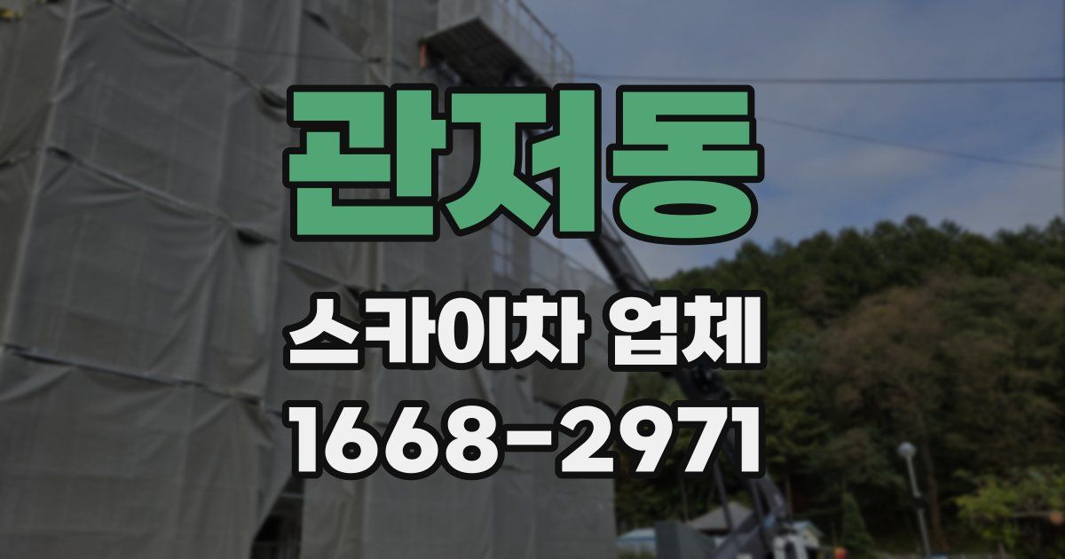 관저동 스카이차 업체
