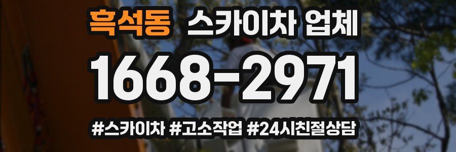 흑석동 스카이차 업체