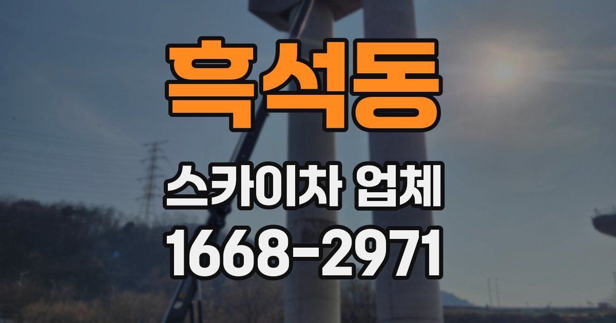 흑석동 스카이차 업체