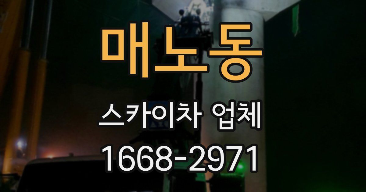 매노동 스카이차 업체