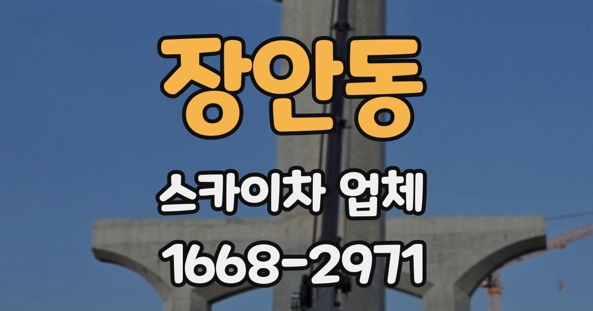 장안동 스카이차 업체