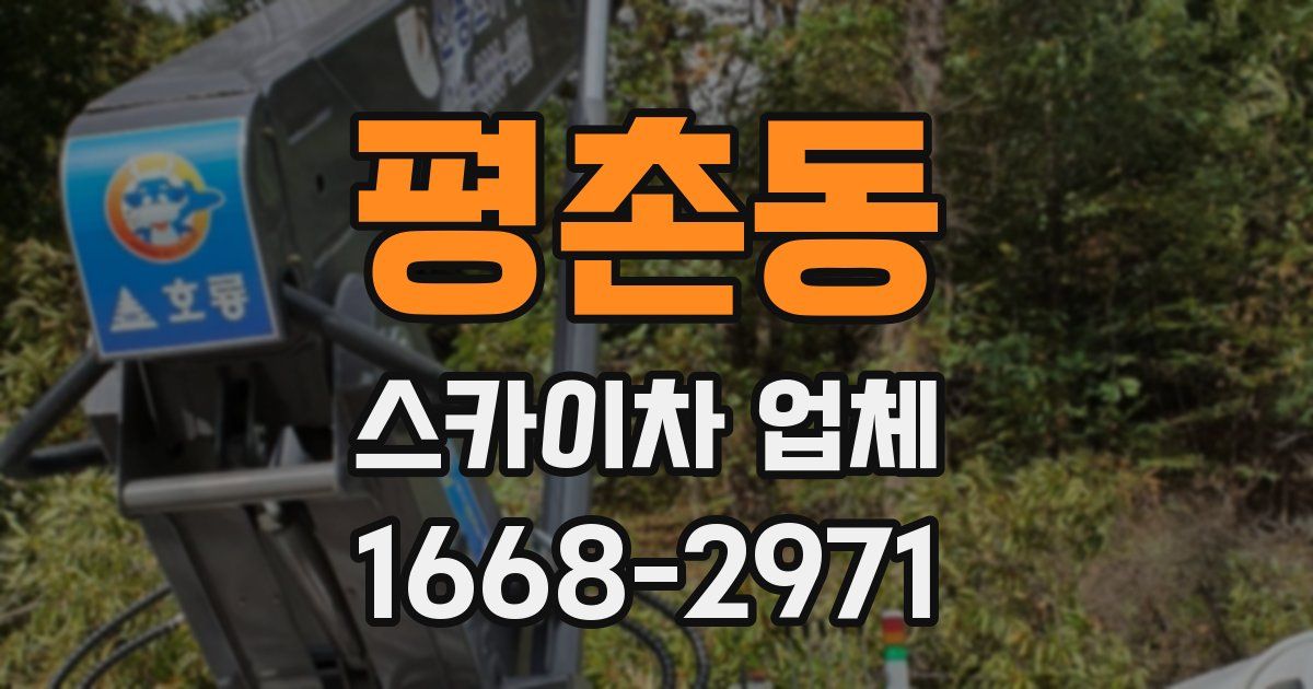 평촌동 스카이차 업체