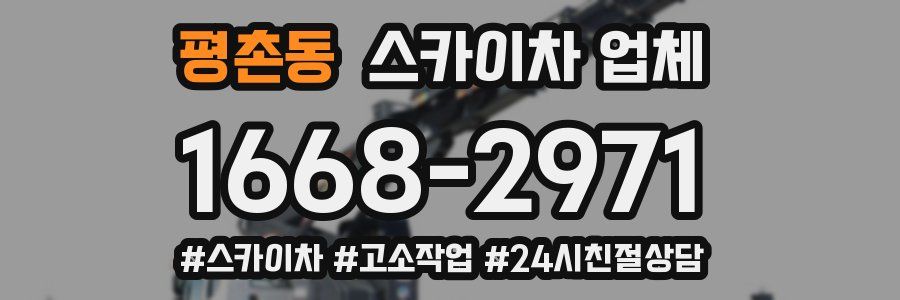 평촌동 스카이차 업체