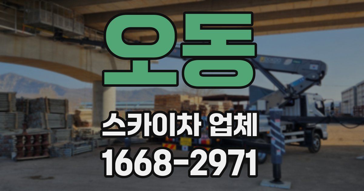 오동 스카이차 업체