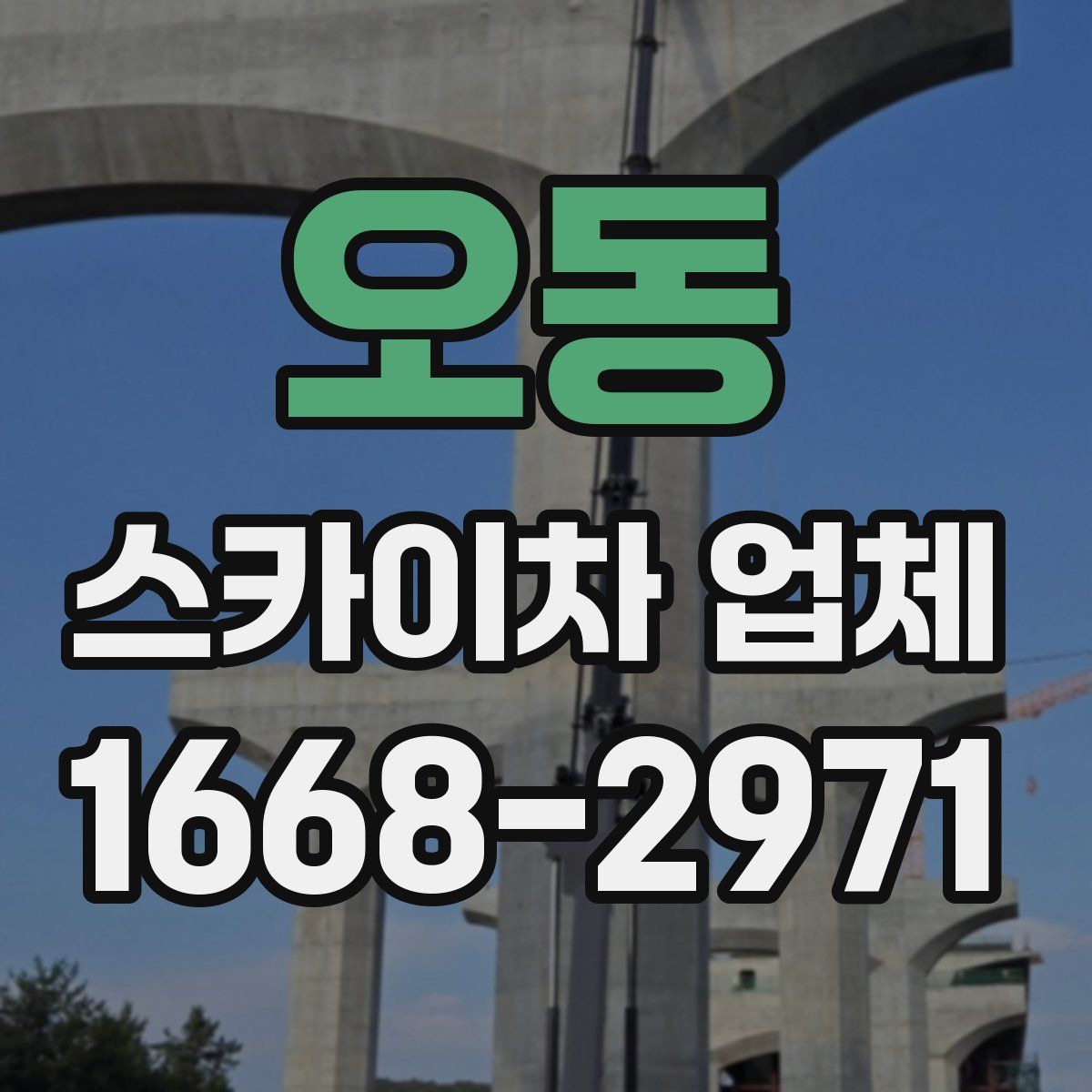오동 스카이차 업체