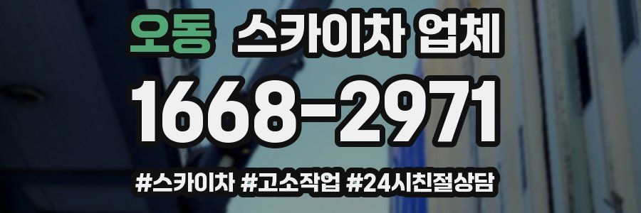 오동 스카이차 업체