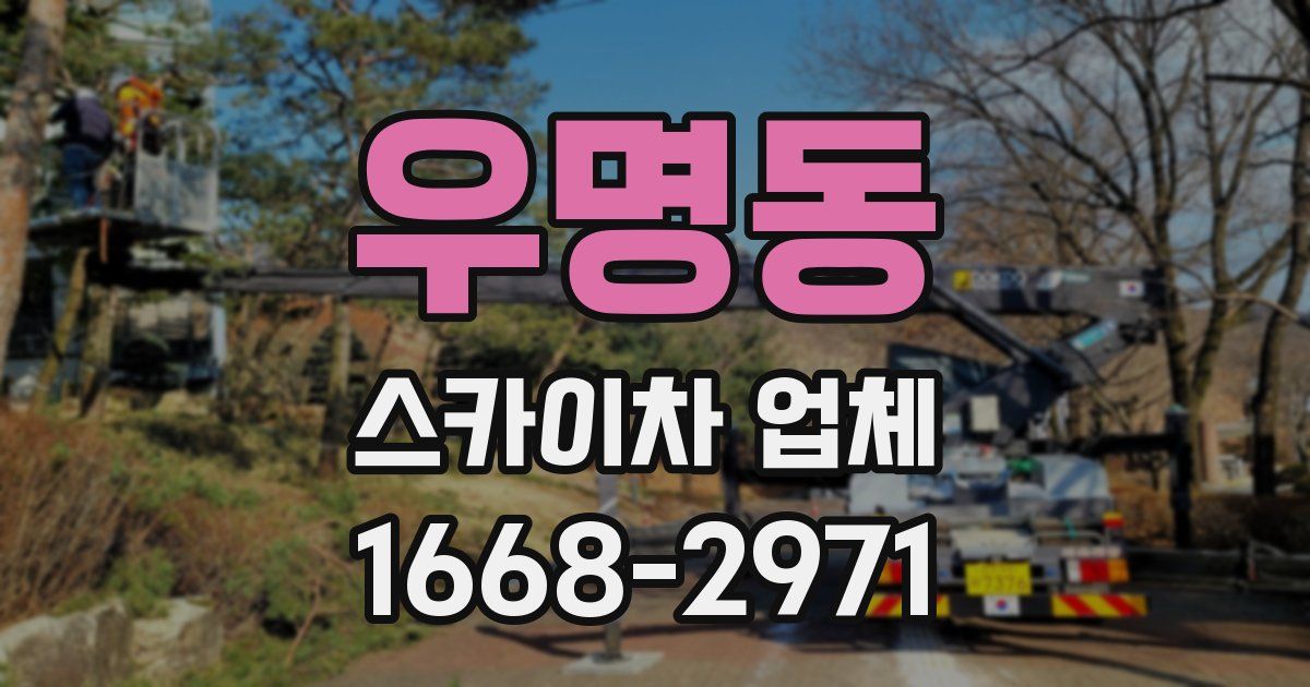 우명동 스카이차 업체