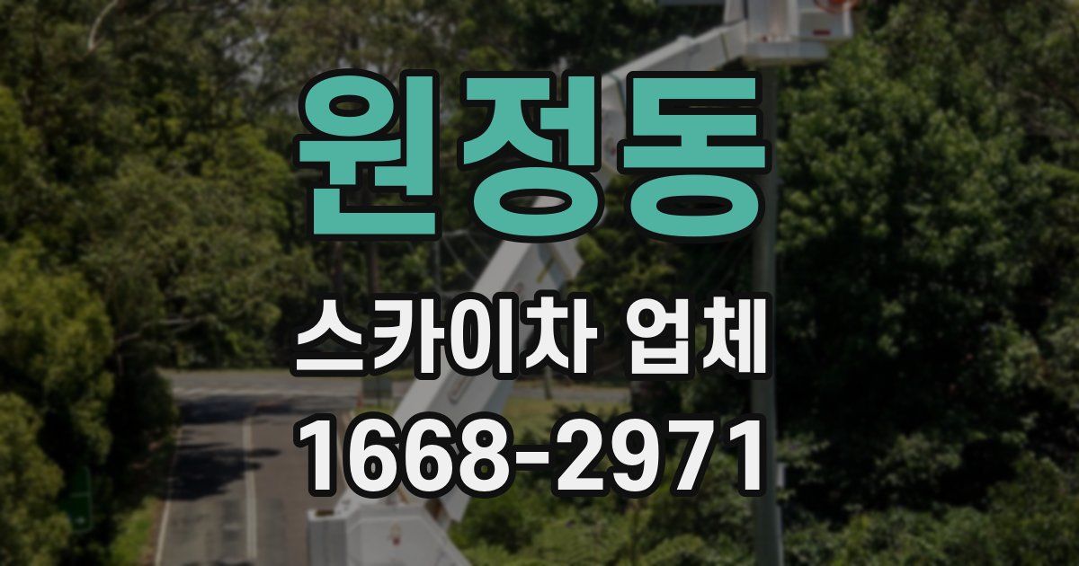 원정동 스카이차 업체