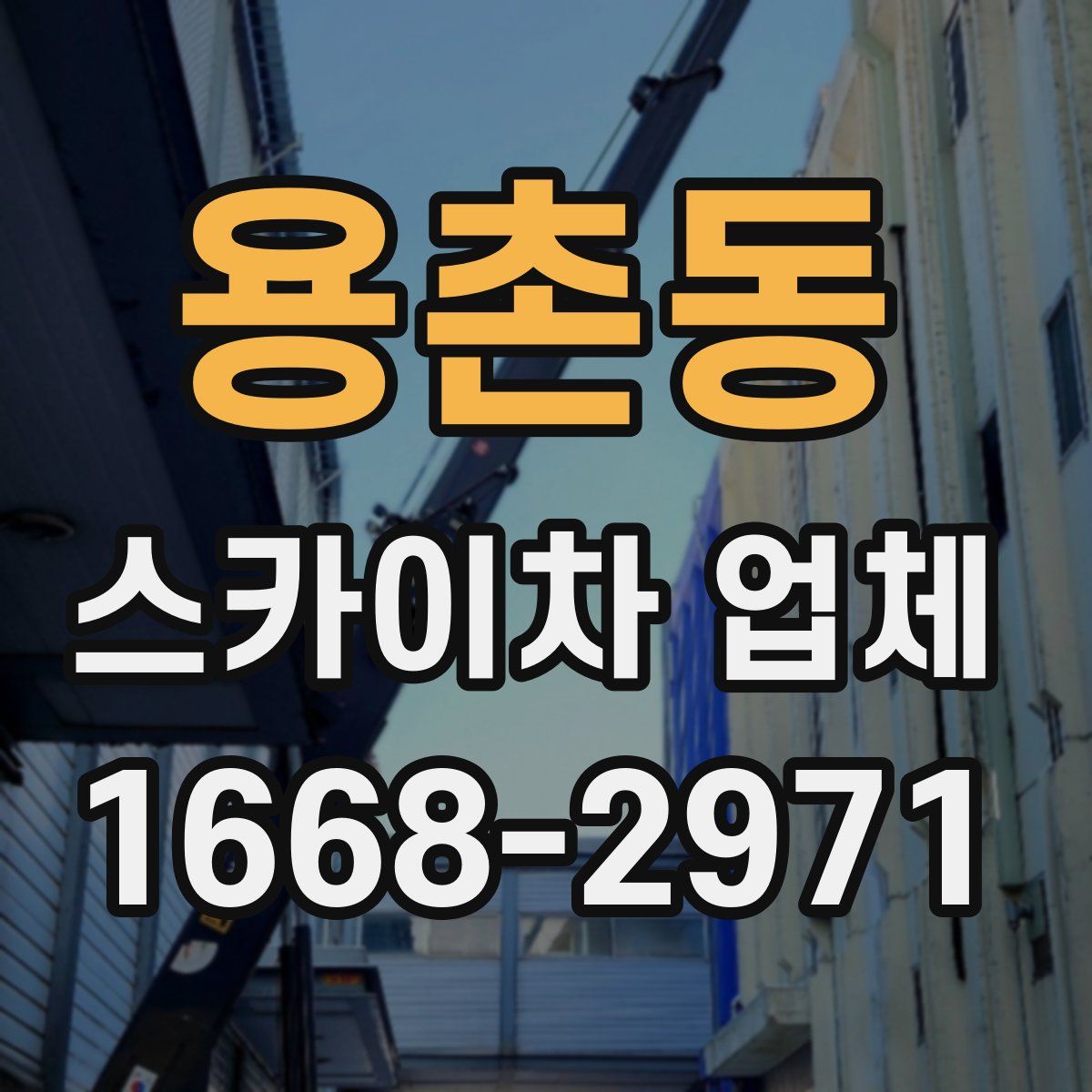 용촌동 스카이차 업체
