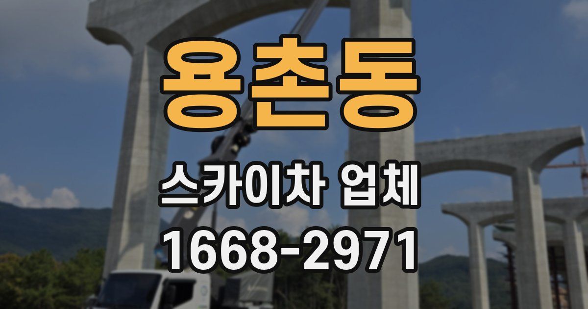 용촌동 스카이차 업체