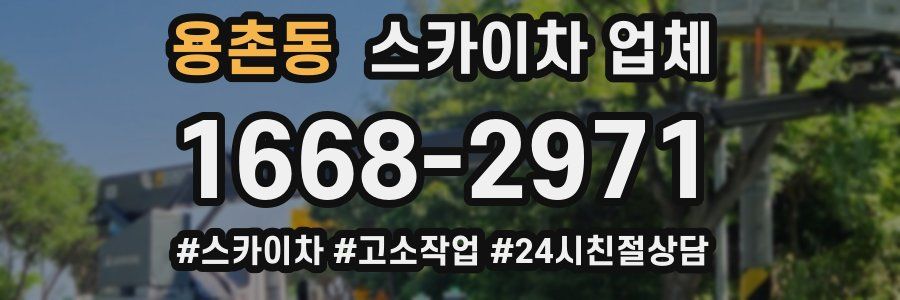 용촌동 스카이차 업체