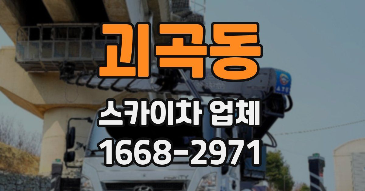 괴곡동 스카이차 업체