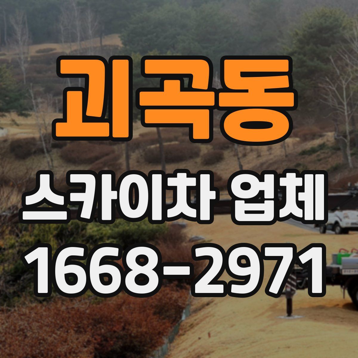 괴곡동 스카이차 업체