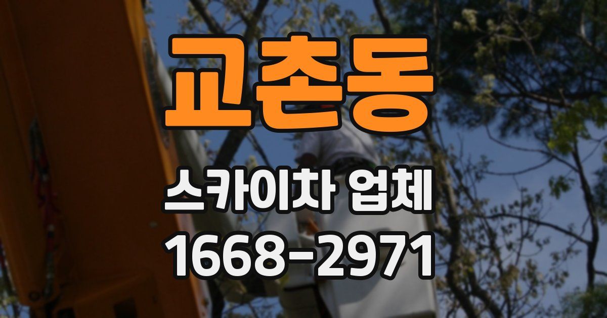 교촌동 스카이차 업체