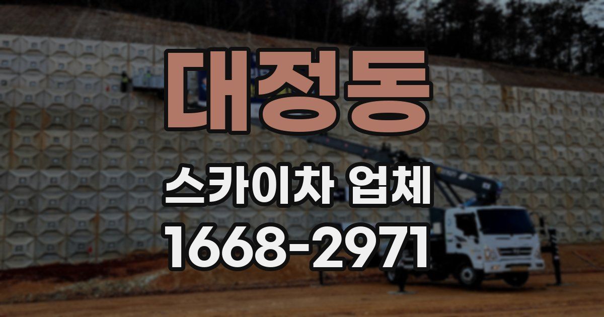 대정동 스카이차 업체