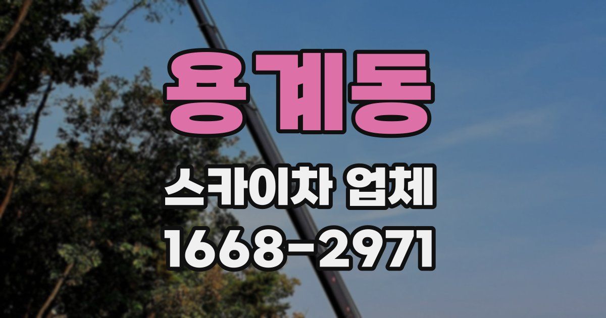 용계동 스카이차 업체