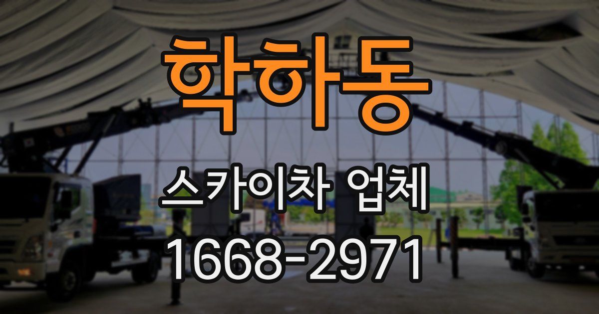 학하동 스카이차 업체