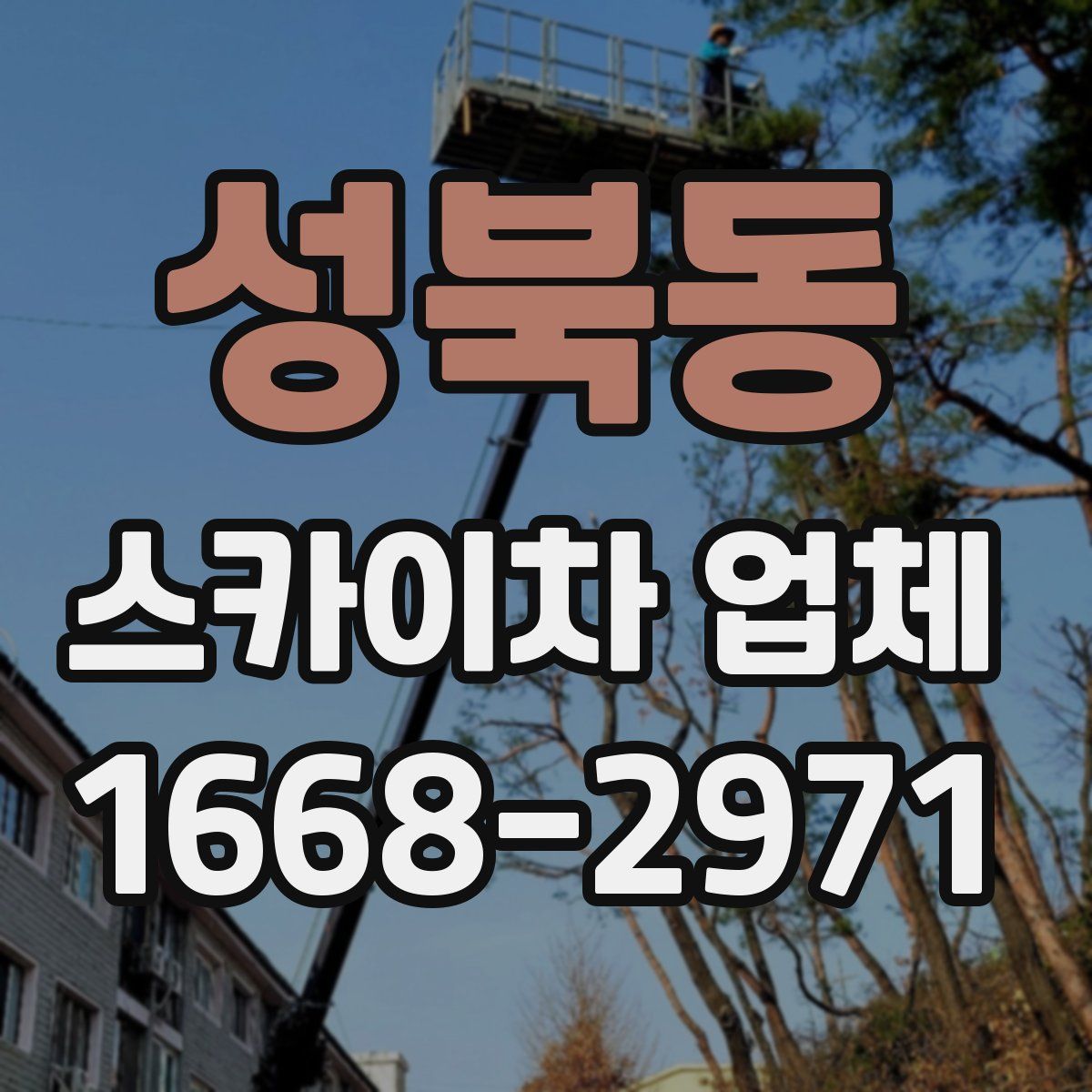 성북동 스카이차 업체