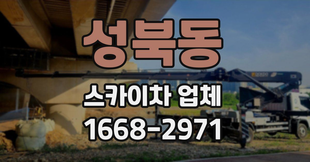 성북동 스카이차 업체