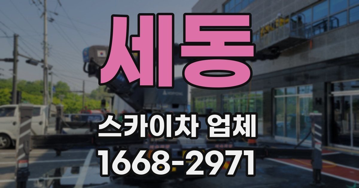 세동 스카이차 업체