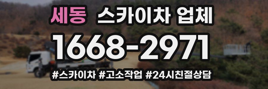 세동 스카이차 업체