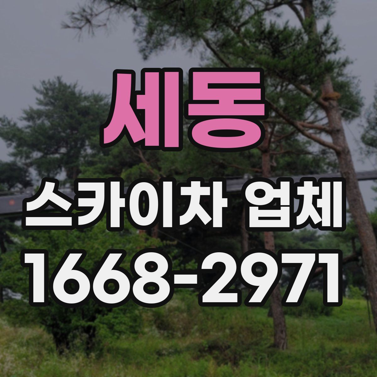 세동 스카이차 업체