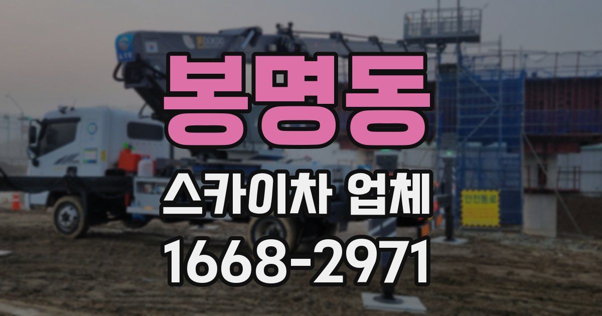 봉명동 스카이차 업체