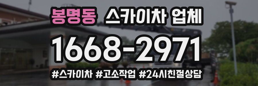 봉명동 스카이차 업체