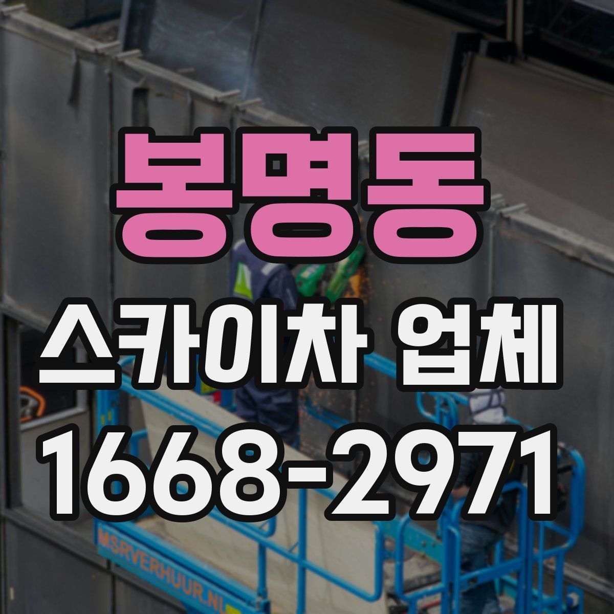 봉명동 스카이차 업체