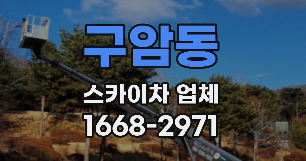구암동 스카이차 업체