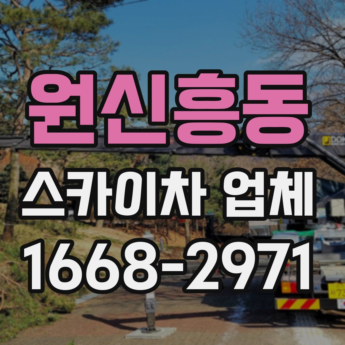 원신흥동 스카이차 업체
