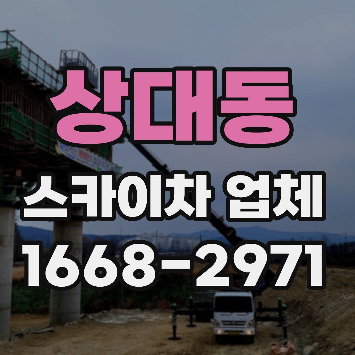 상대동 스카이차 업체