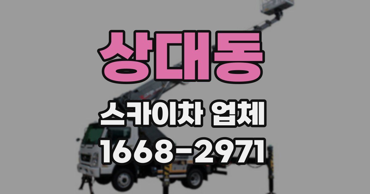 상대동 스카이차 업체