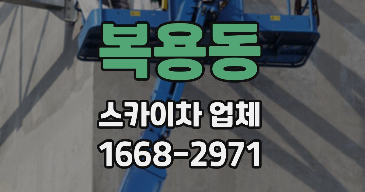 복용동 스카이차 업체