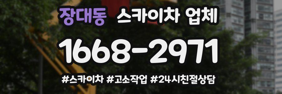 장대동 스카이차 업체