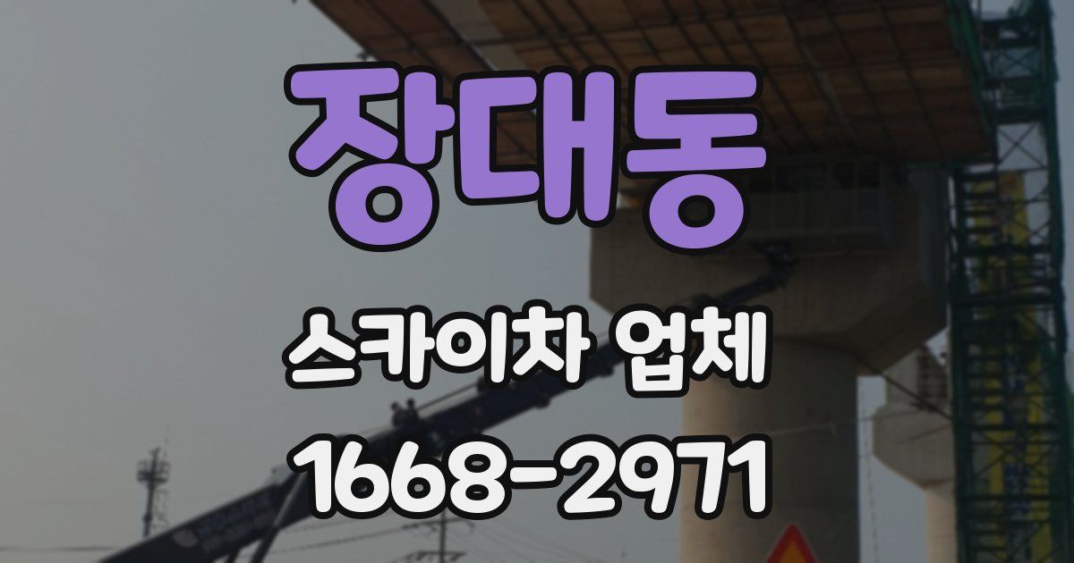 장대동 스카이차 업체