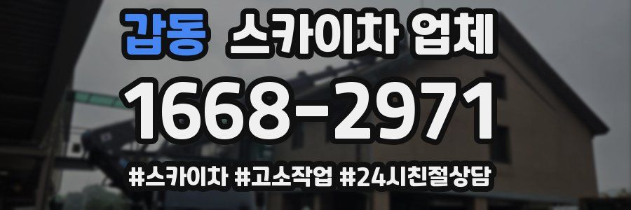 갑동 스카이차 업체