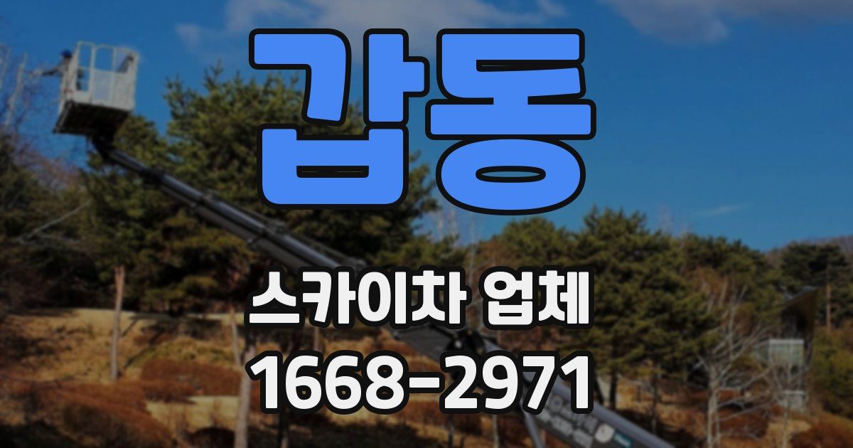 갑동 스카이차 업체