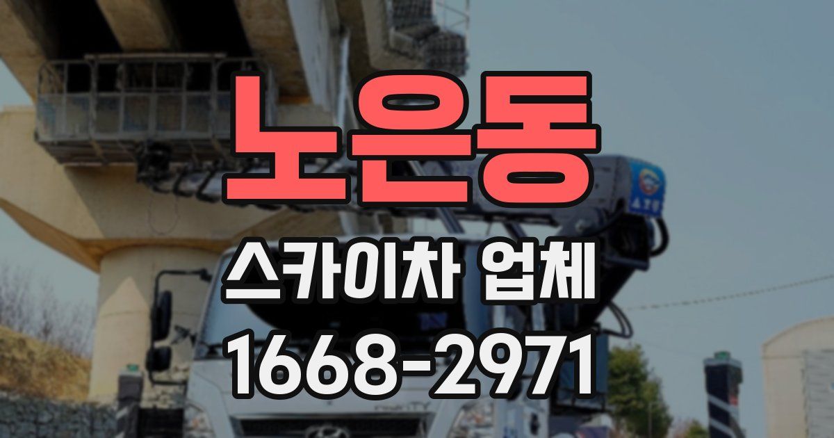 노은동 스카이차 업체