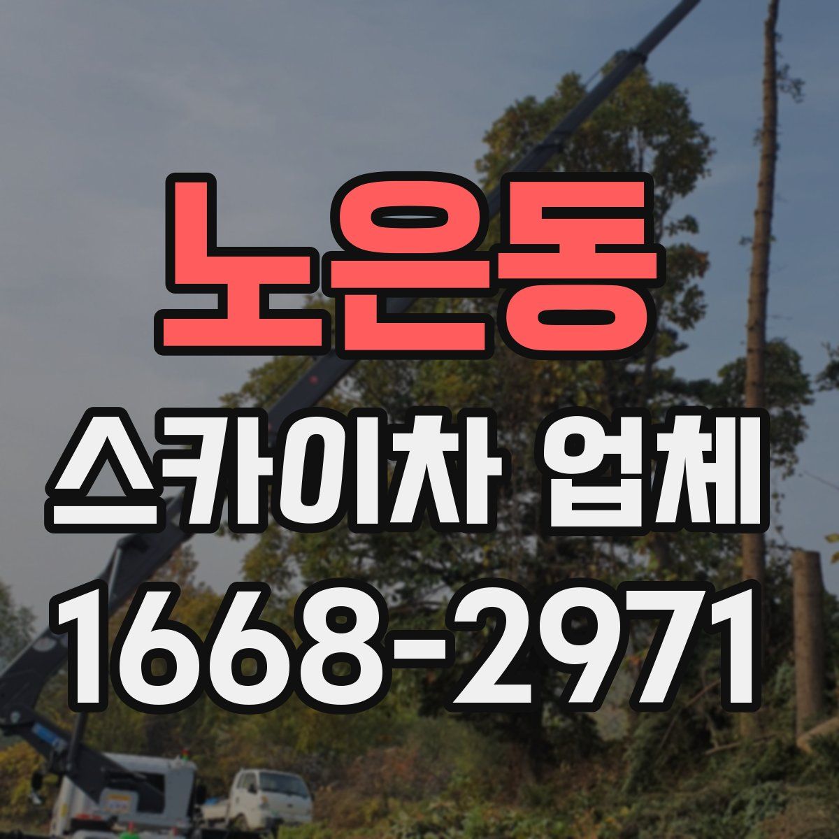 노은동 스카이차 업체