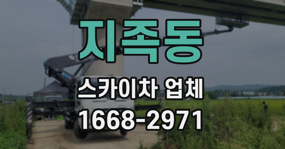 지족동 스카이차 업체