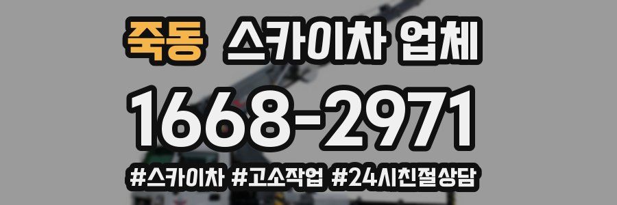 죽동 스카이차 업체