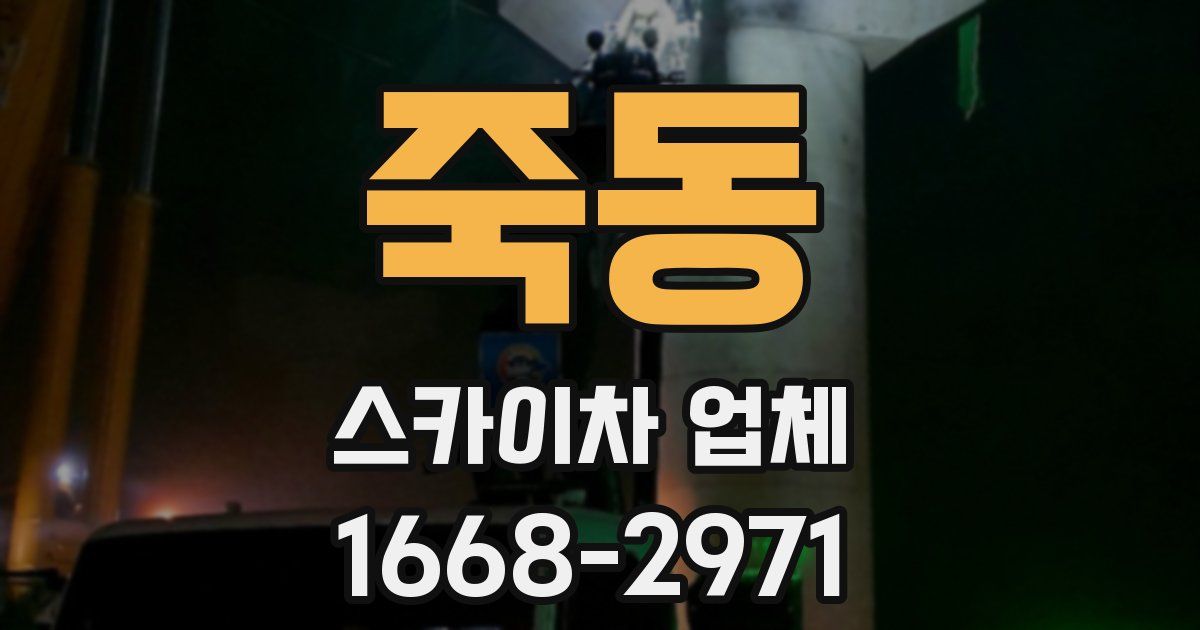 죽동 스카이차 업체