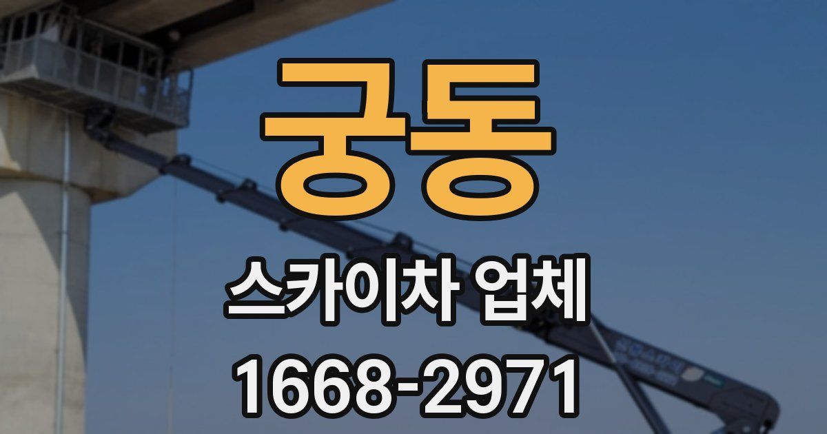 궁동 스카이차 업체