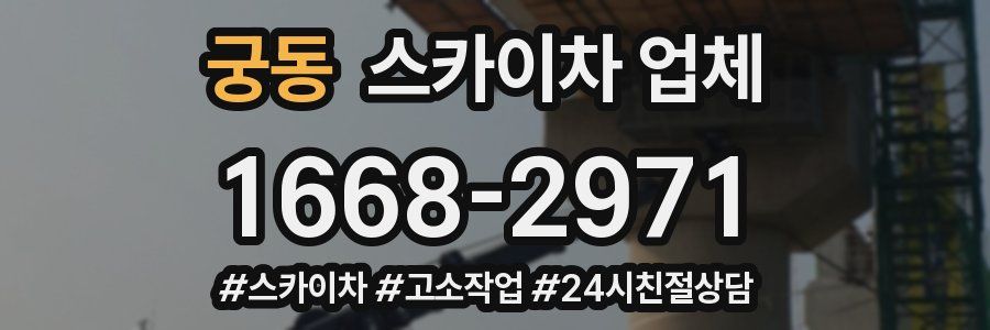 궁동 스카이차 업체