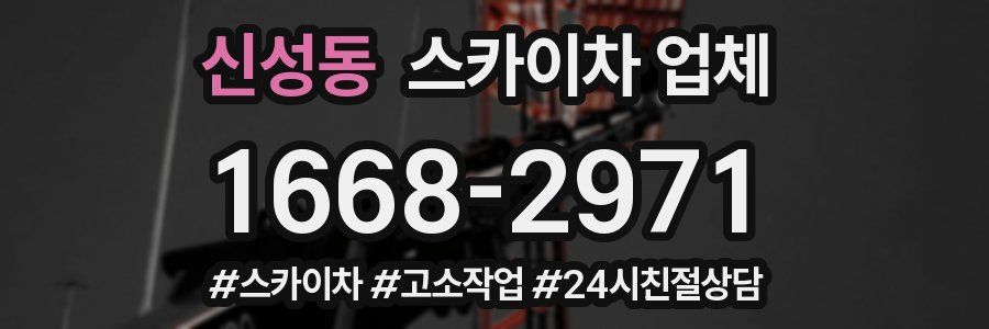 신성동 스카이차 업체