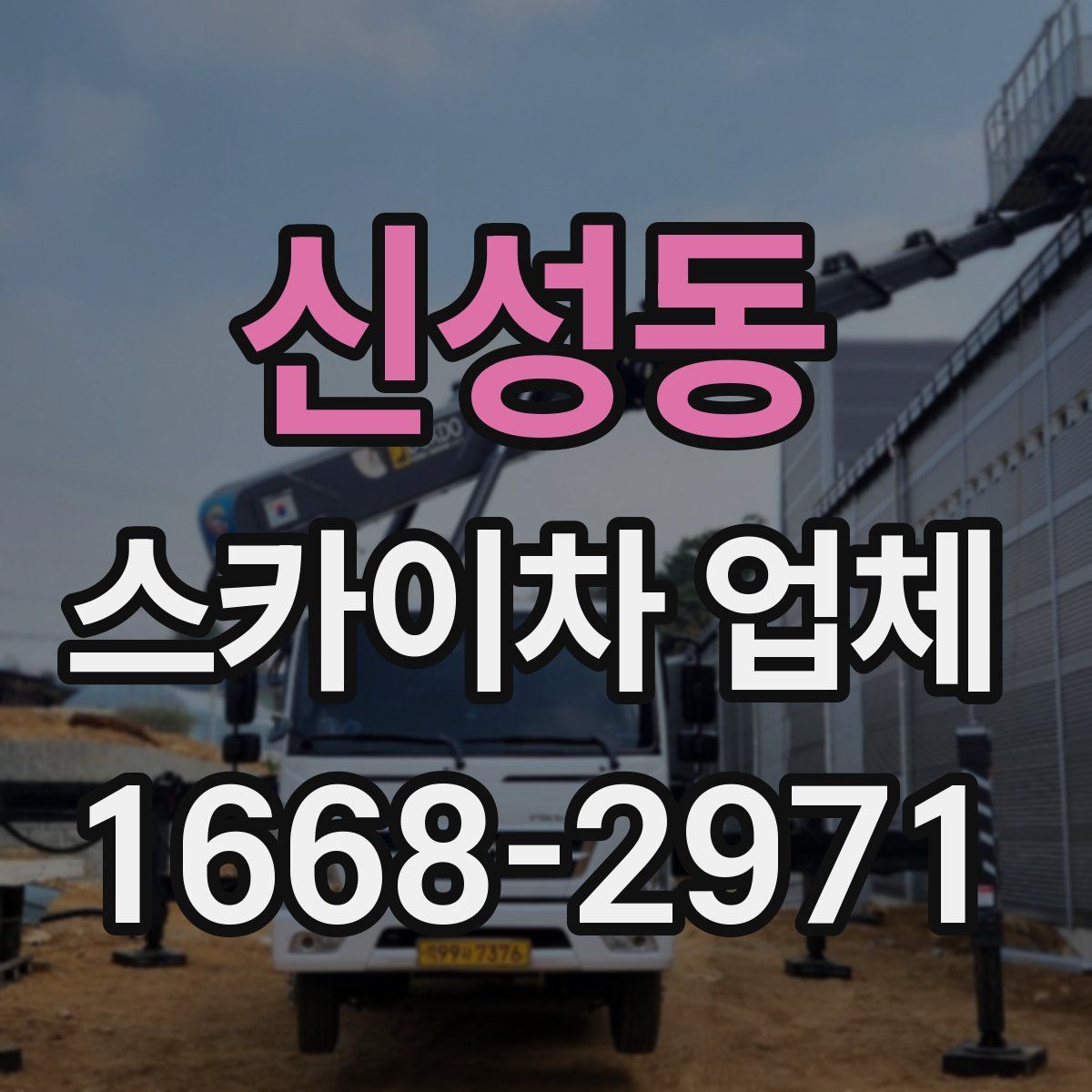 신성동 스카이차 업체