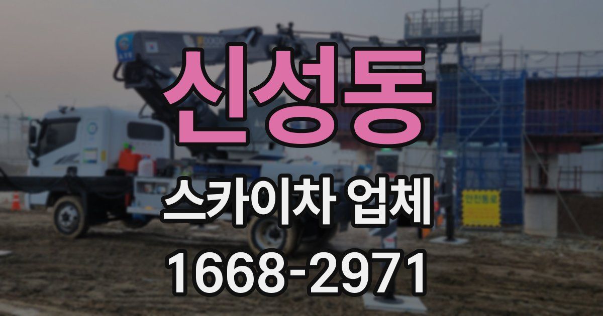 신성동 스카이차 업체