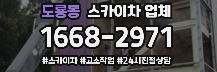 도룡동 스카이차 업체